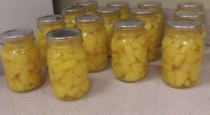 Pineapple Chunks