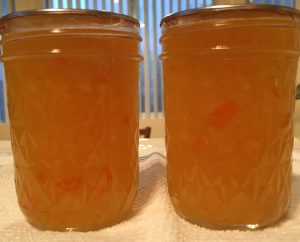 Pineapple Habanero Jelly