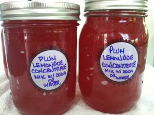 Plum Lemonade Concentrate