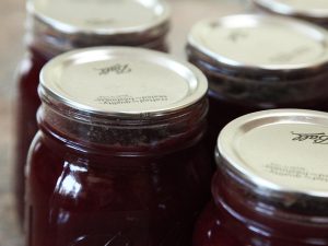 Plum Preserve