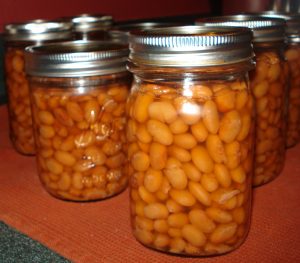 Pressure canning Pinto Beans