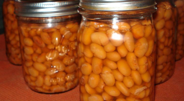 Pressure canning Pinto Beans