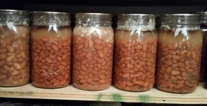 Pressure canning Pinto Beans