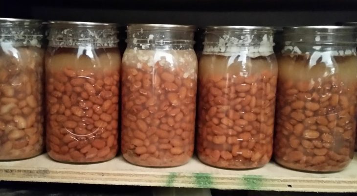 Pressure canning Pinto Beans