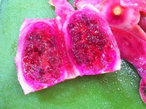 Prickly Pear Jelly