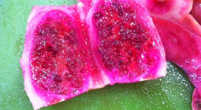 Prickly Pear Jelly