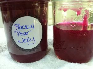 Prickly Pear Jelly