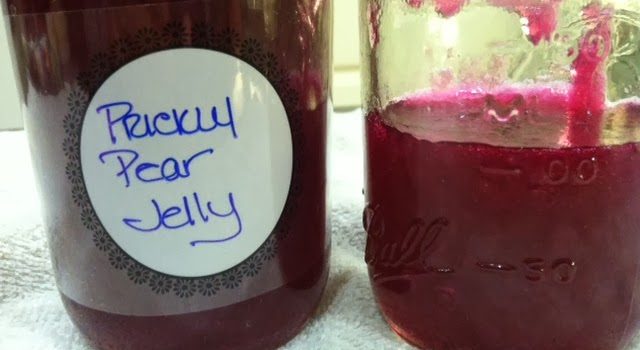 Prickly Pear Jelly