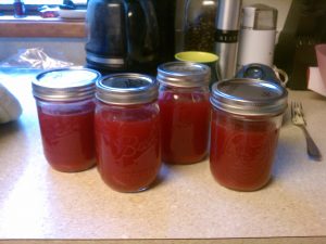 Rhubarb Applesauce