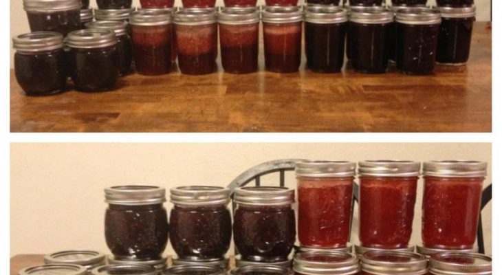 Rhubarb Lavender Jam