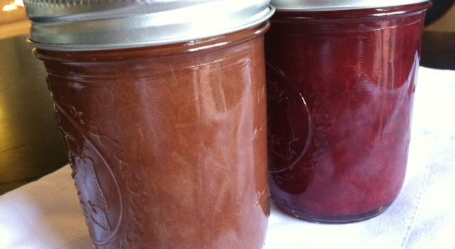 Rhubarb Lavender (left) Balsamic Plum (right)