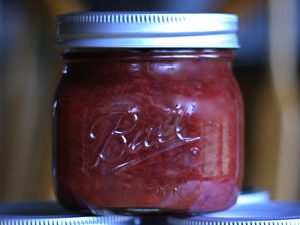 Rhubarb Salsa