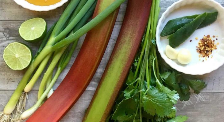 Rhubarb Salsa