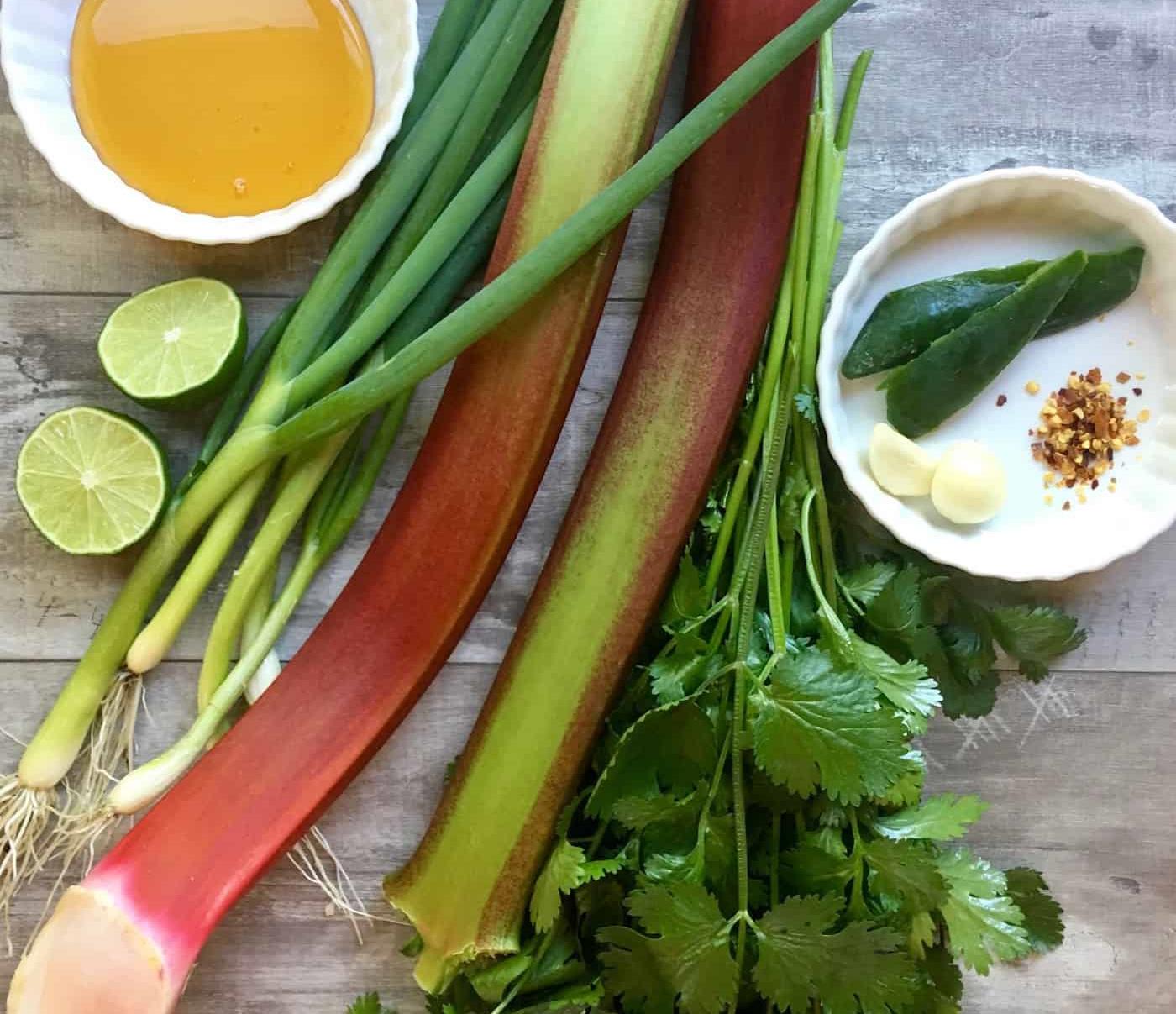 Rhubarb Salsa – SBCanning.com – homemade canning recipes