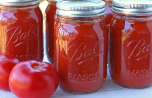 Roasted Garlic Pasta Sauce