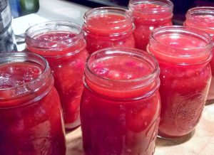 Sherrie's Cranberry BBQ Sauce