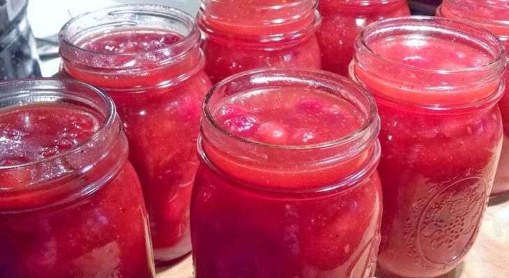 Sherrie's Cranberry BBQ Sauce