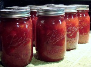 Sherrie's Cranberry BBQ Sauce