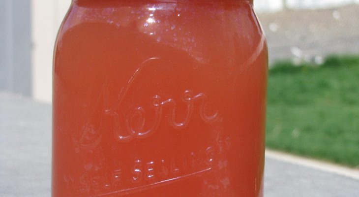 Sunshine Rhubarb Juice Concentrate
