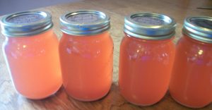 Sunshine Rhubarb Juice Concentrate