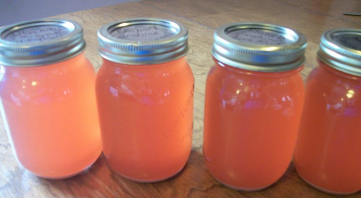 Sunshine Rhubarb Juice Concentrate