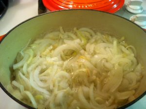 Sweet Onion & Fennel Relish