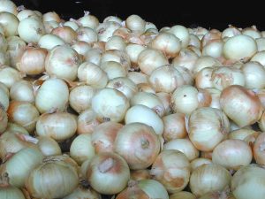 Sweet Pickled Vidalia Onion