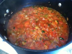 Tomato Salsa