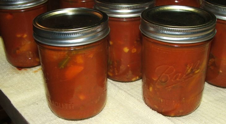 Vegetable Beef Soup