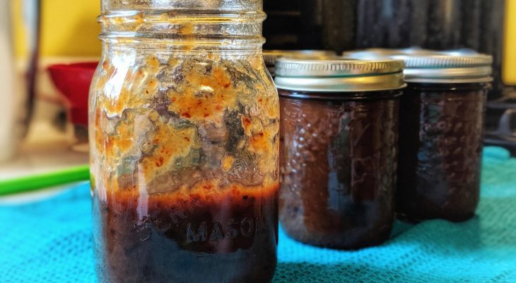 Victorian Barbecue Sauce (Rhubarb Barbecue Sauce)