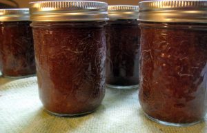 Victorian Barbecue Sauce (Rhubarb Barbecue Sauce)