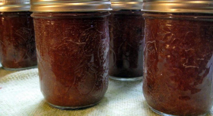 Victorian Barbecue Sauce (Rhubarb Barbecue Sauce)