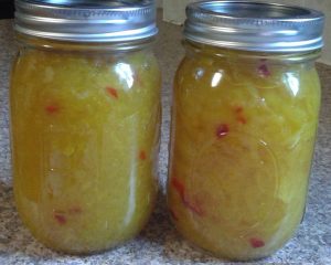 Vidalia Onion Relish