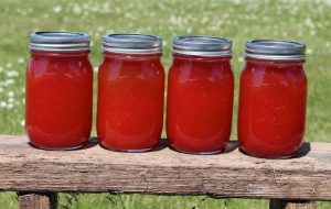 Watermelon Lemonade Concentrate