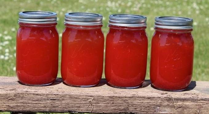 Watermelon Lemonade Concentrate