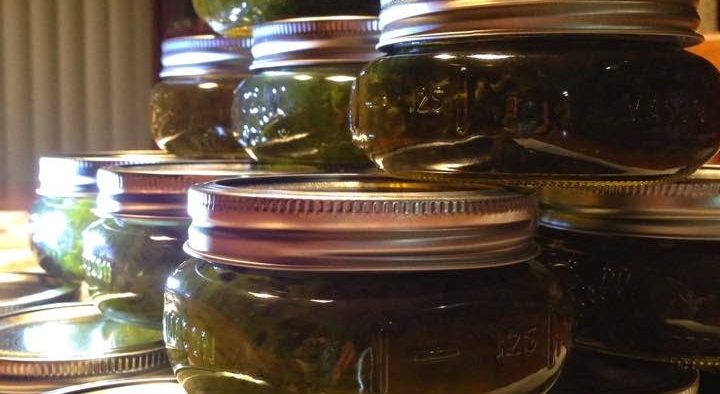 beautiful jars of green jalapeno jelly!