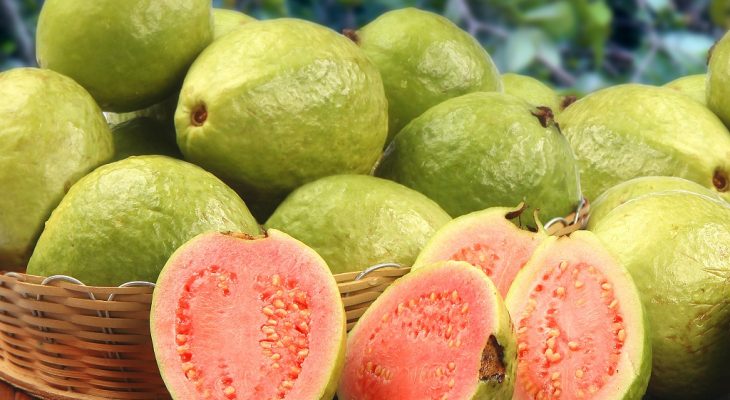 unripe Mexican Guava