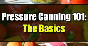 Canning Basics: When to use a Pressure Canner or Boiling Water Bath