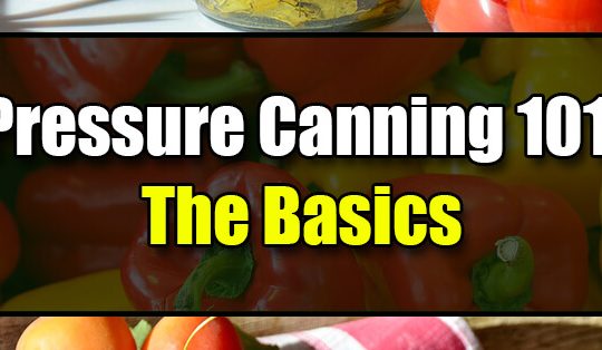 Canning Basics: When to use a Pressure Canner or Boiling Water Bath