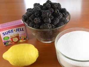 Seedless Blackberry Jelly