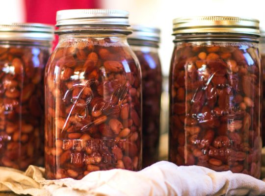 The Fresher the Beans the Better When Canning Beans