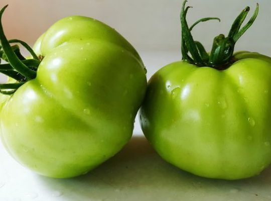 Canning Green Tomato Pickles