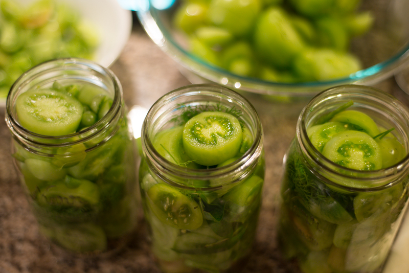 Pickled Green Tomatoes