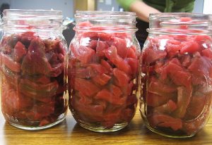 Meat Preservation by Canning