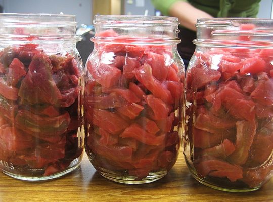 Meat Preservation by Canning