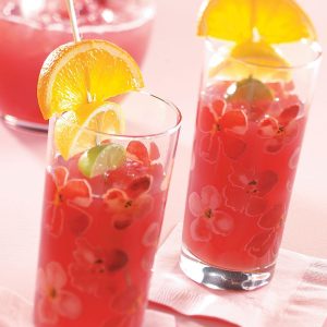 Cranberry punch